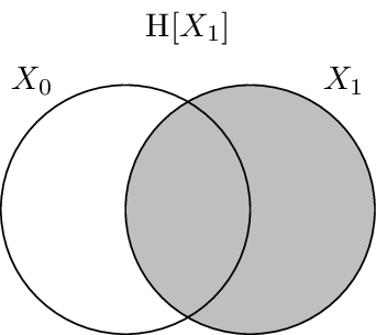 The entropy :math:`\H{X_1}`