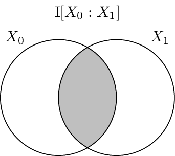 The mutual information :math:`\I{X_0 : X_1}`
